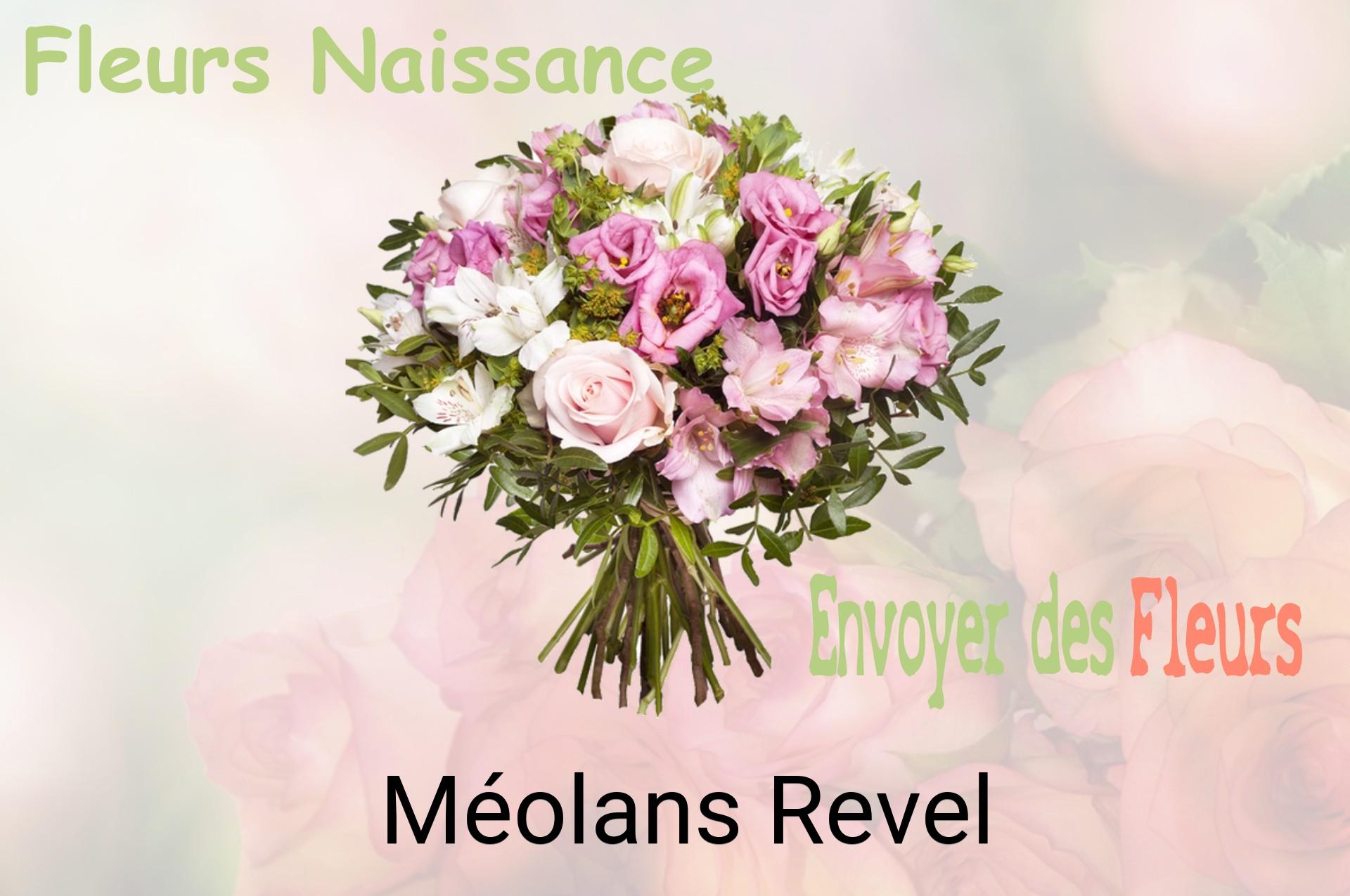 Bouquet de fleurs de naissance livré à Méolans-Revel