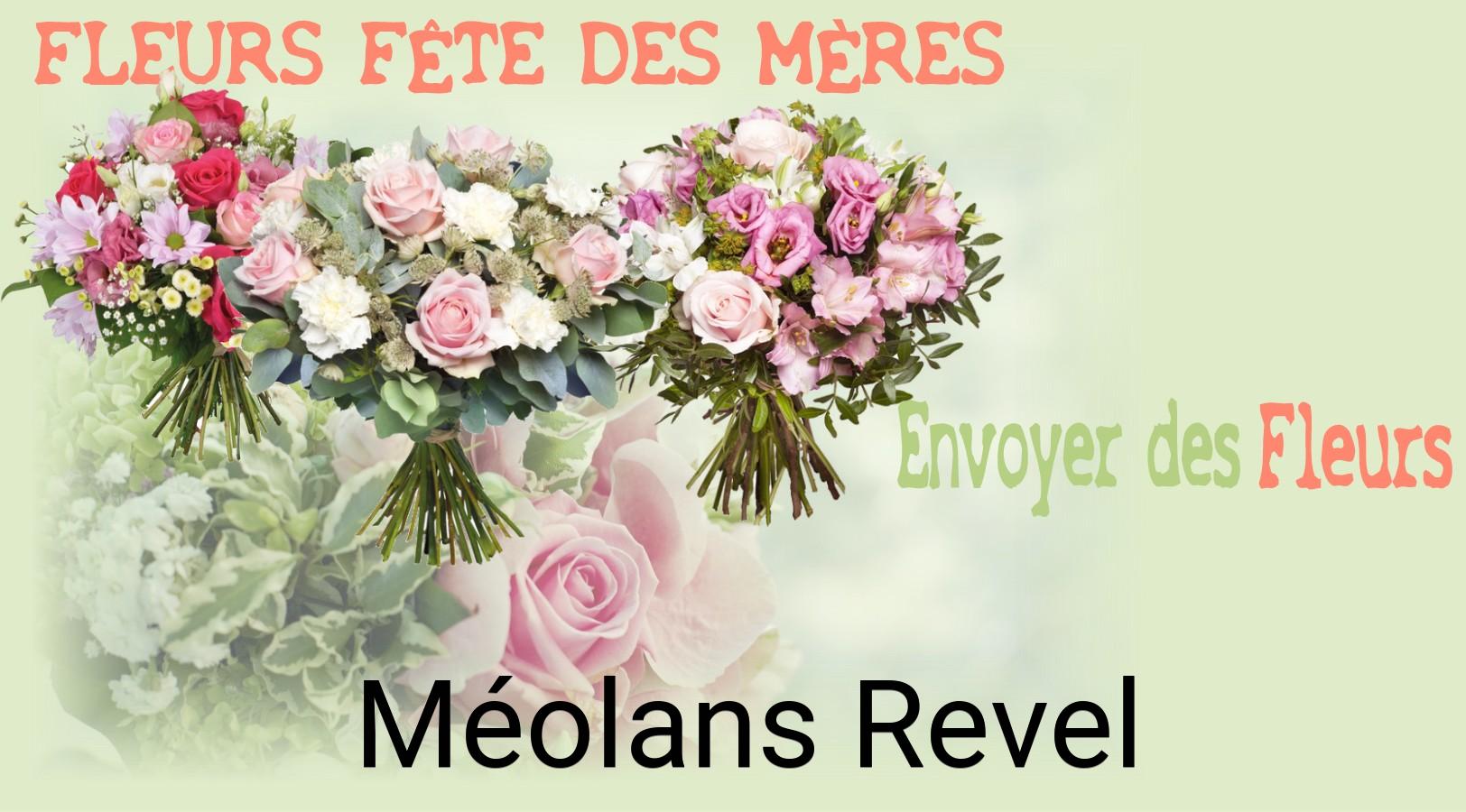 Bouquet de Fête des Mères livré à Méolans-Revel